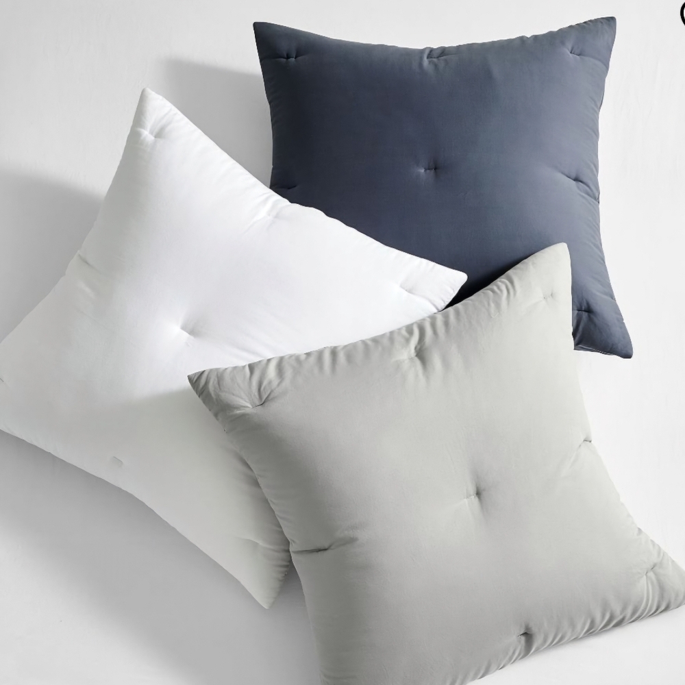 Pottery Barn “Dream Brushed Cotton” Euro Sham – Rosewater (Sample / Photo Prop)